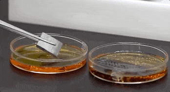 必威BETWAY西汉姆联