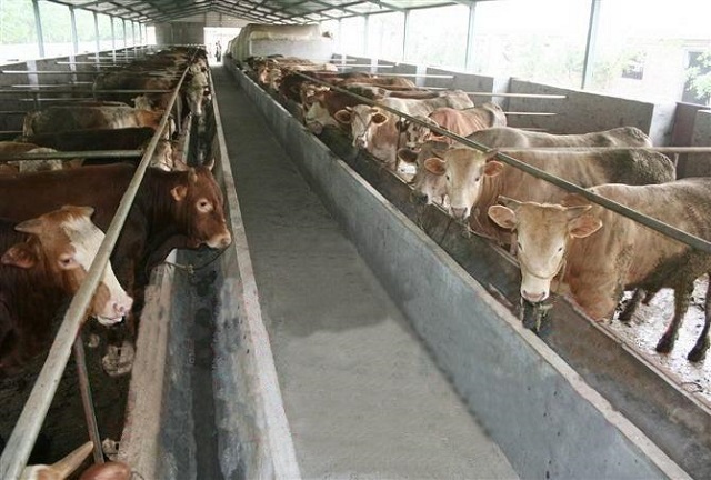 必威BETWAY西汉姆联