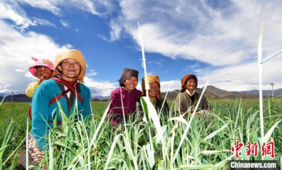 必威BETWAY西汉姆联