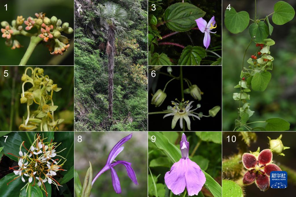 必威BETWAY西汉姆联