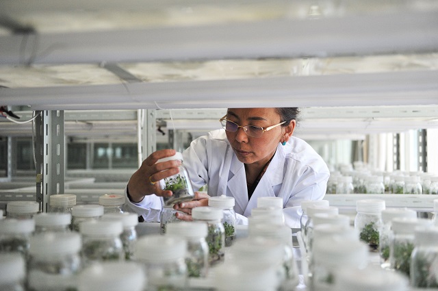 必威BETWAY西汉姆联