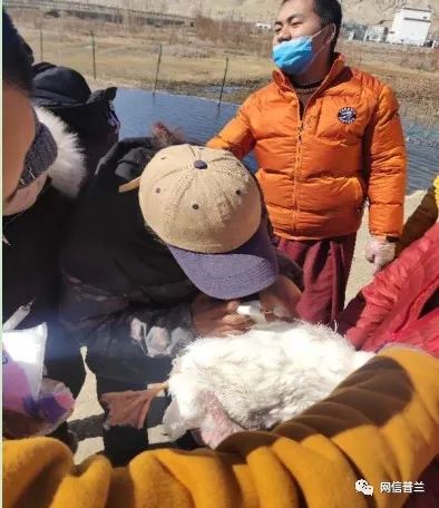 必威BETWAY西汉姆联