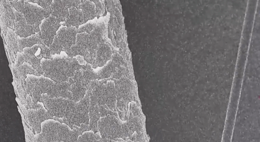 必威BETWAY西汉姆联