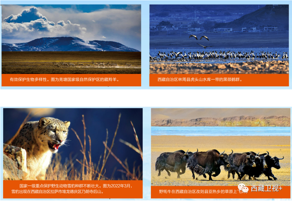 640_wx_fmt=png&wxfrom=5&wx_lazy=1&wx_co=1 (7).png